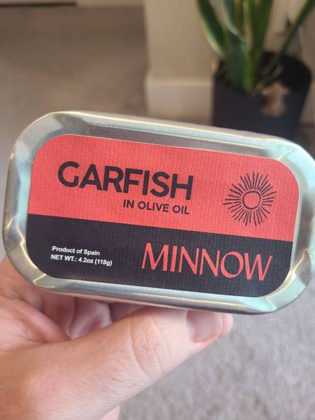 Minnow — Garfish in Olive Oil