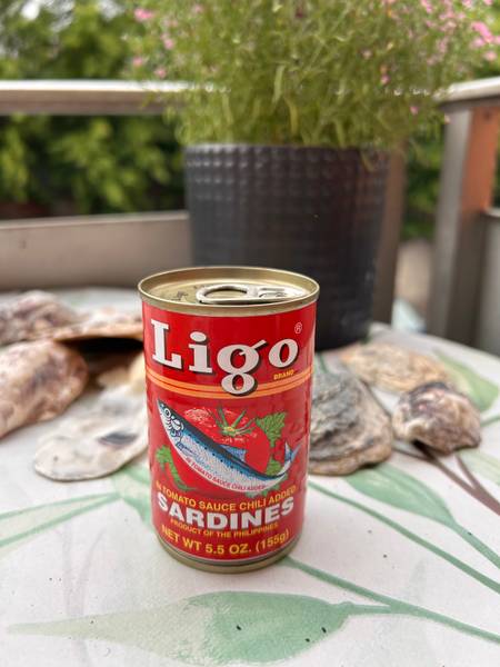 Ligo — SARDINES